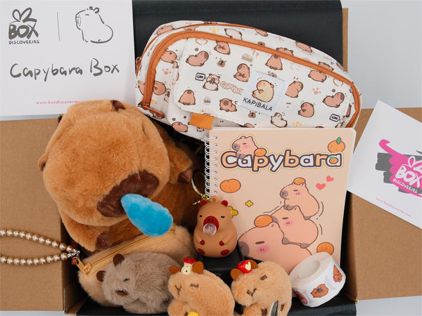 Capybara Box by Yumi, 8 Goodies - Super Kawaii